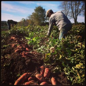 Seed shortage leads farmers to rely on one another
